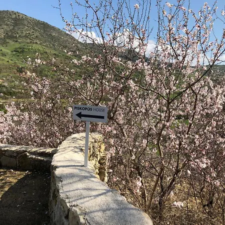 Piskopos *